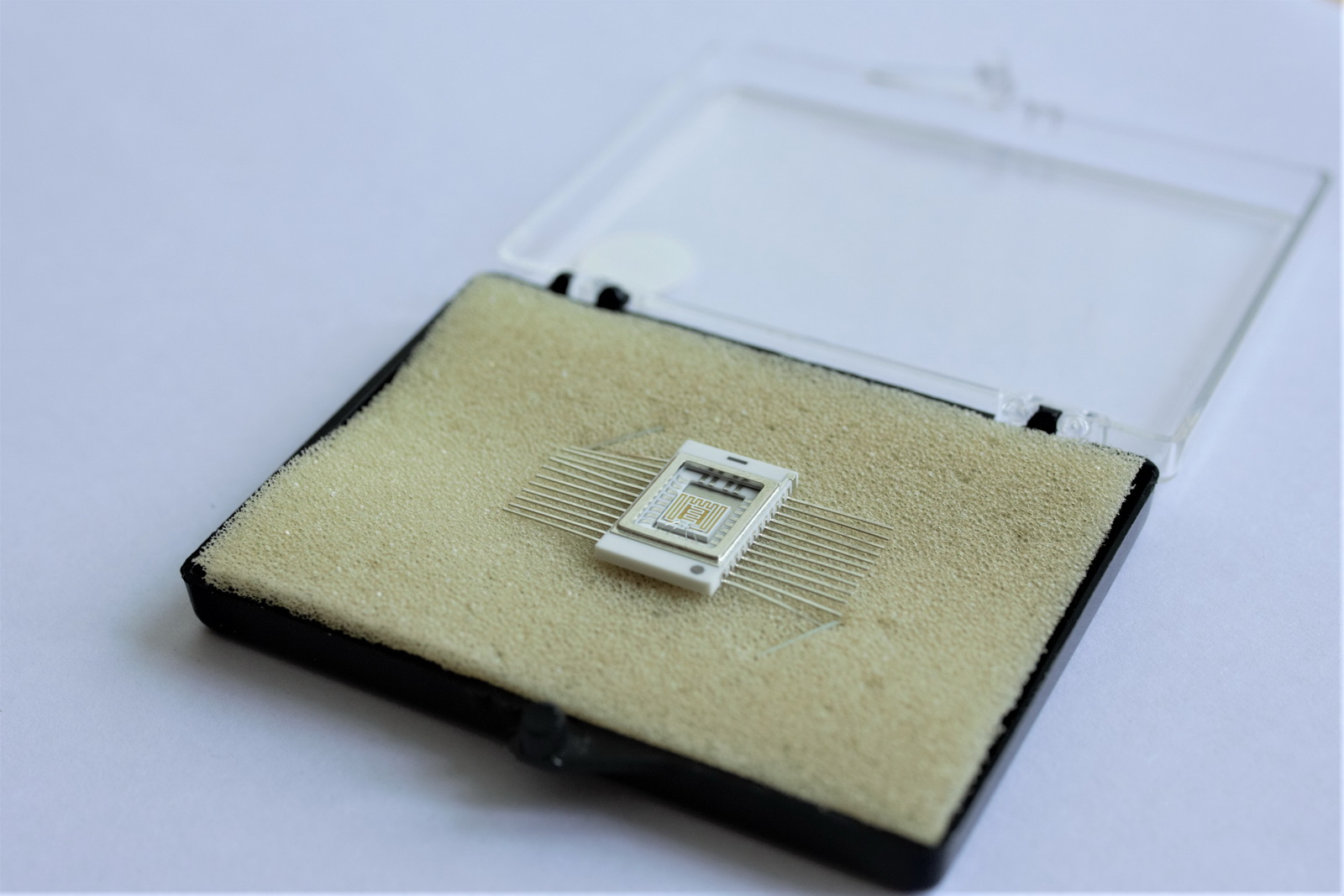 Ученые Пензенского госуниверситета разработали уникальный чип для улавливания и различения газов