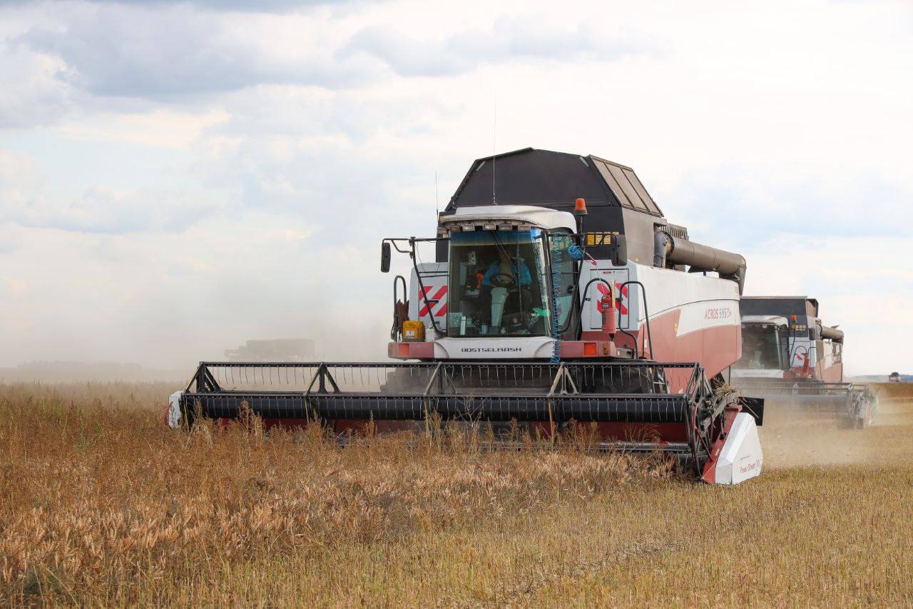 Пензенский губернатор сообщил о сборе 3 млн тонн зерна