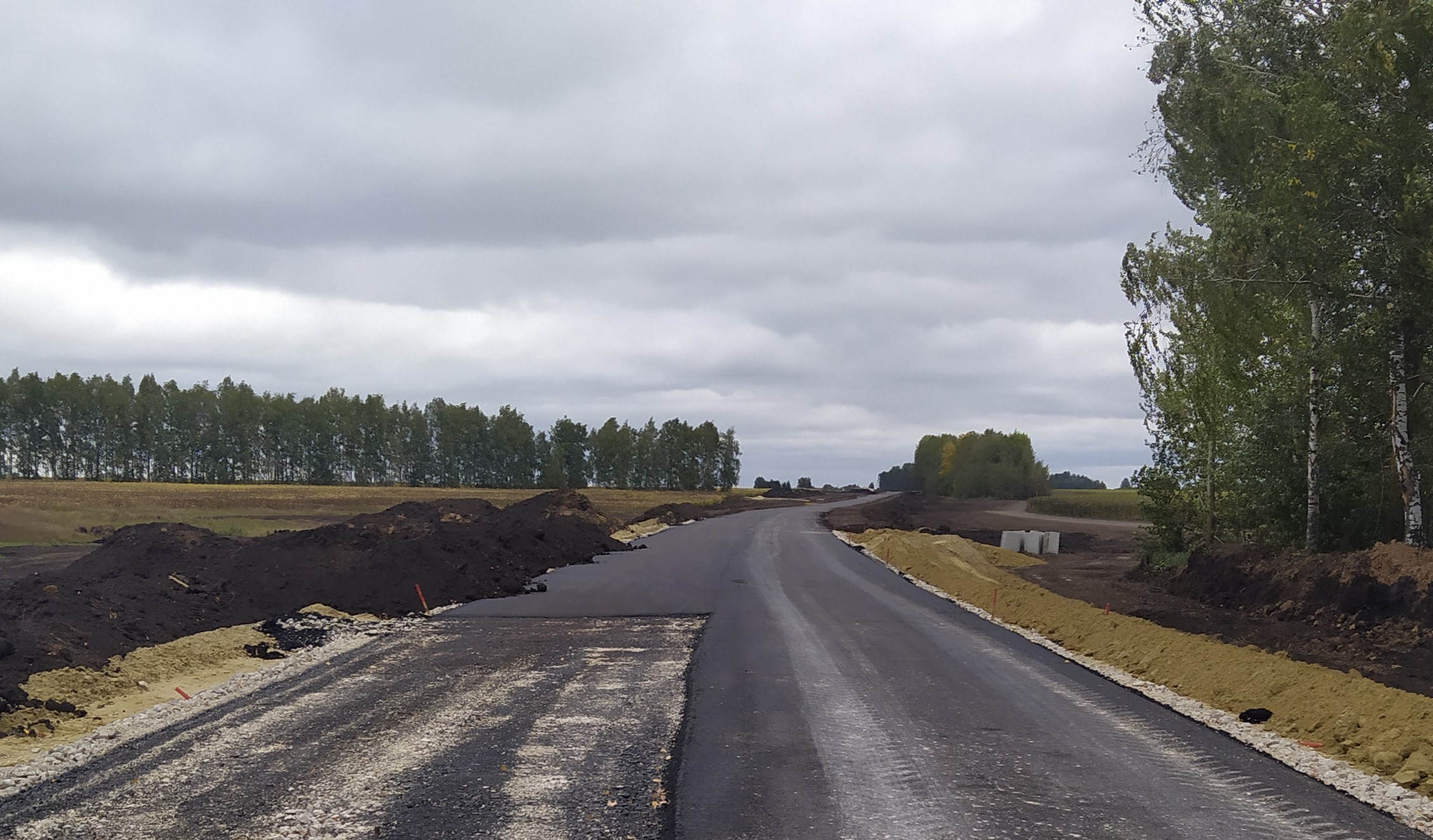 В пензенском минстрое отчитались о строительстве туристической дороги из Спасска в Наровчат
