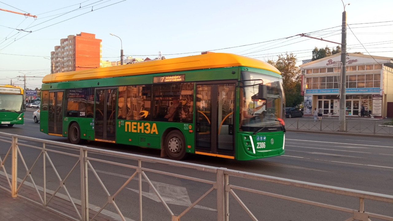 Пензенцы высказались за создание нового троллейбусного маршрута между Спутником и Арбековской Заставой