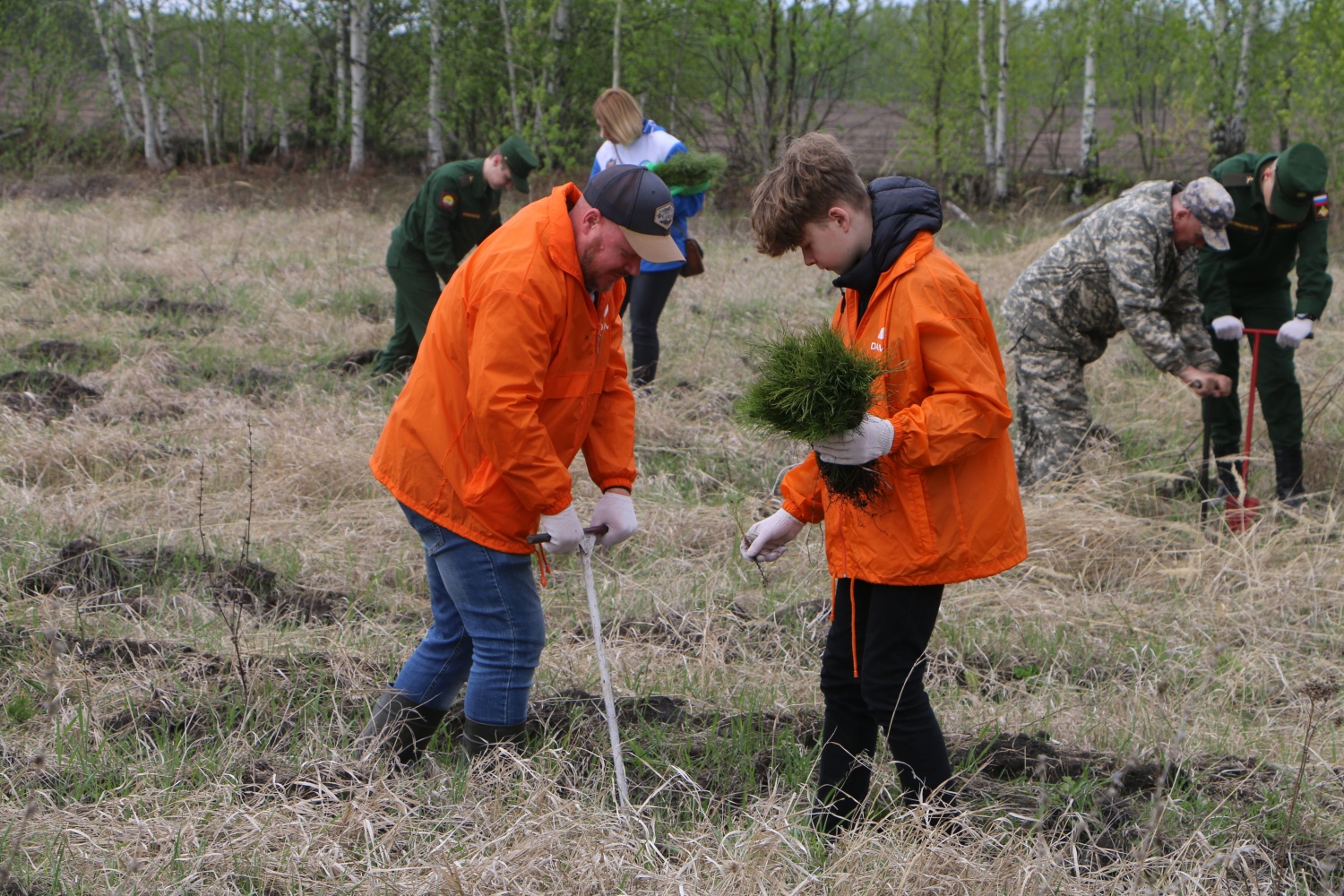 Пензенская область присоединится к всероссийской акции «Сохраним лес!»