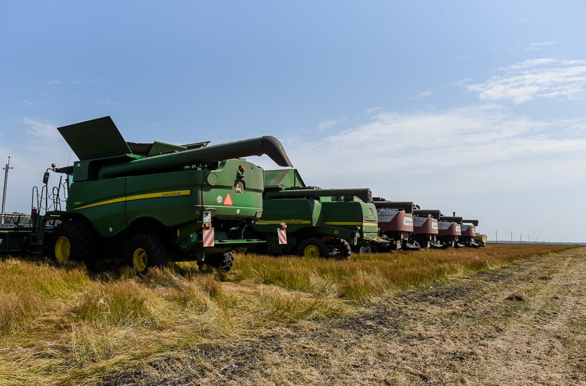 В Пензенской области валовой сбор зерновых и зернобобовых культур превысил 3,2 млн тонн