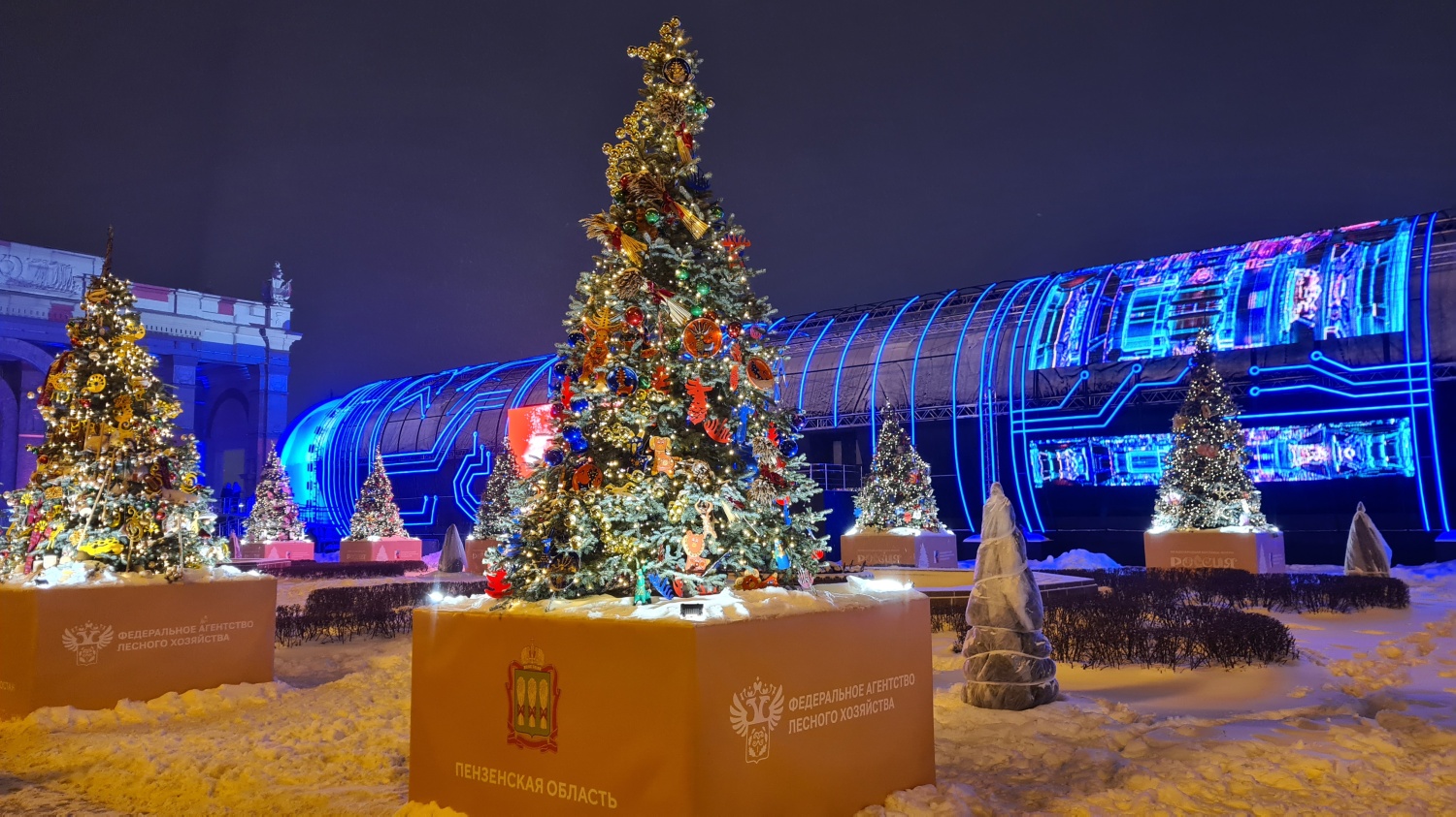 «Елочка, зажгись!»: в первый день зимы на выставке «Россия» зажглись огни на пензенской елке