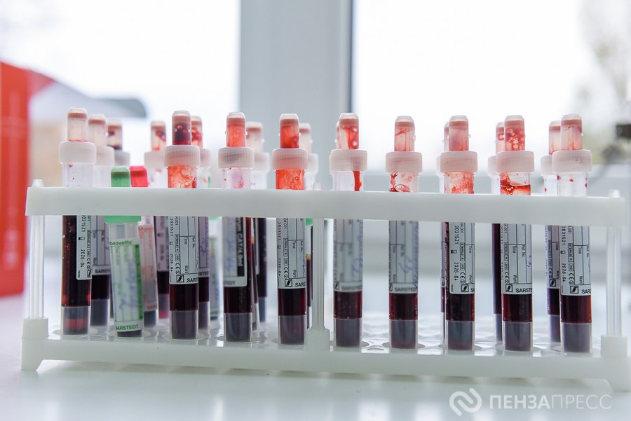 В Пензенской области количество заболевших гриппом выросло за неделю почти на четверть