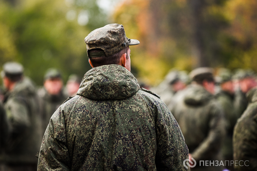 Эксперты прокомментировали учреждение в Пензенской области новых региональных наград