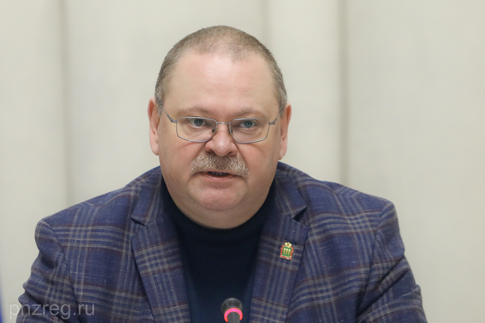 Олег Мельниченко выделил 15,5 млн рублей на капремонт библиотеки в Земетчино