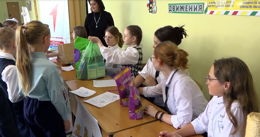 Пензенские школьники оказали помощь городским приютам для бездомных животных