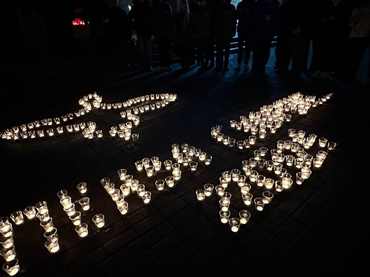 Пензенцы сложили фигурки журавлей в память о жертвах московского теракта