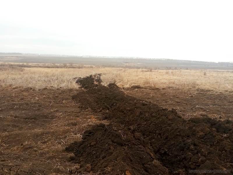 В Пензе начали обновлять минерализованные полосы