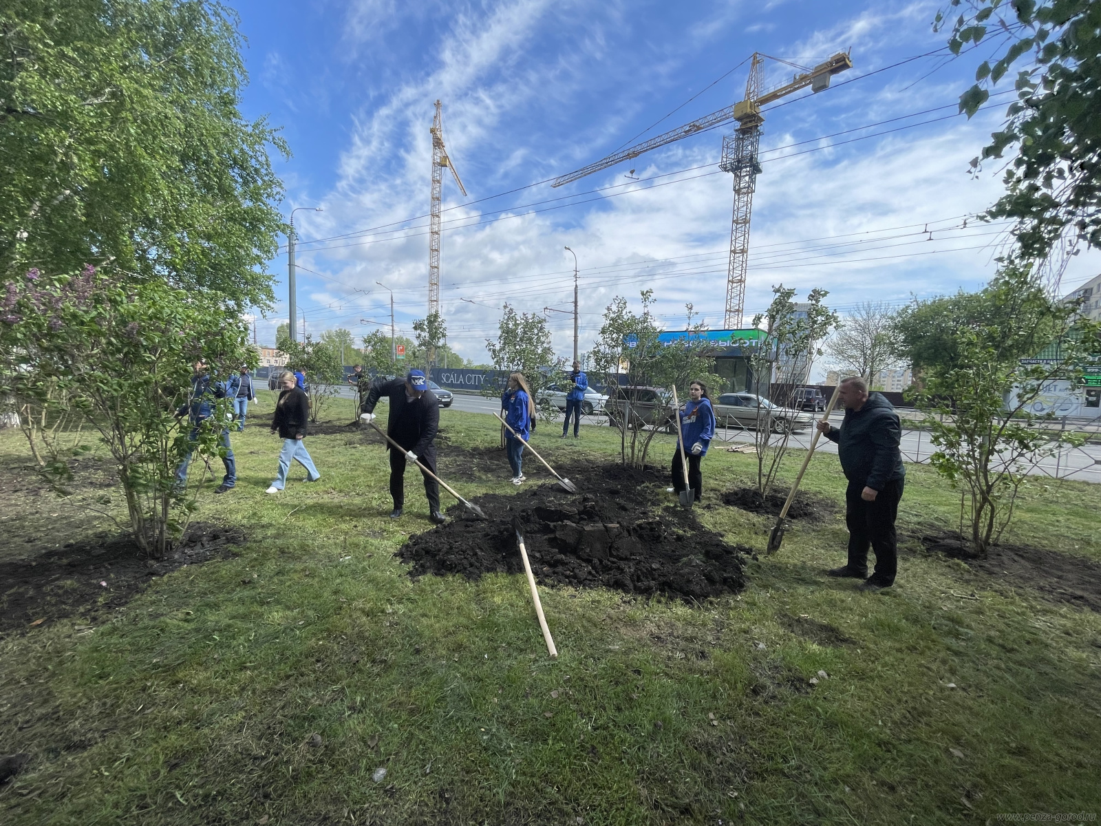 В Пензе состоялась патриотическая акция «Сирень Победы»