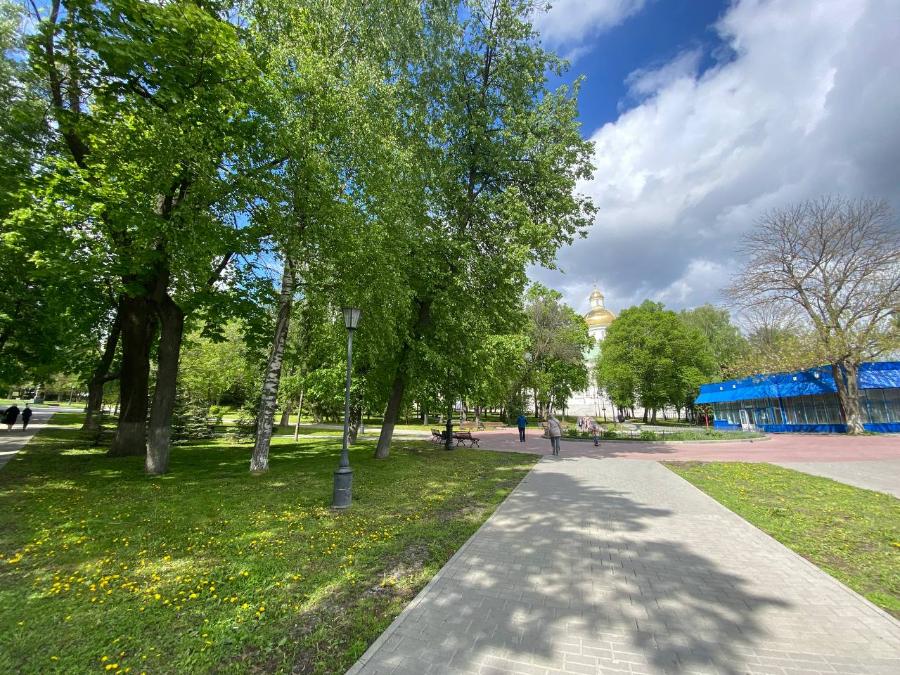 Пензенцев приглашают на культурно-оздоровительный променад