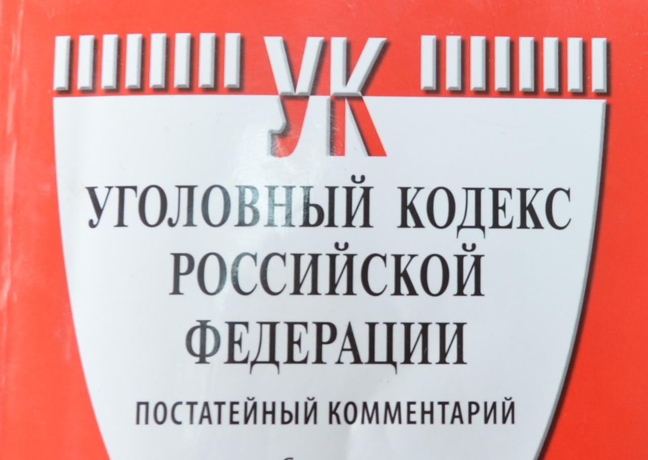 Пензенский прокурор не добился изменения приговора Рамиле Хисамовой