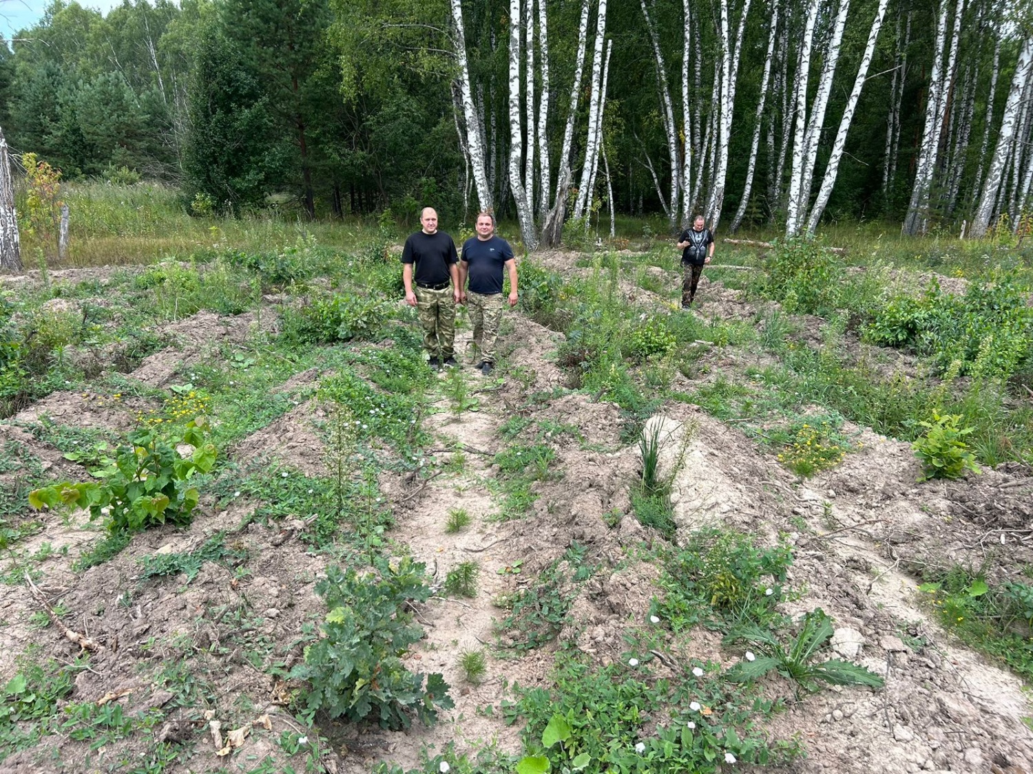 В Пензенской области пройдет шестой сезон акции «Сохраним лес»