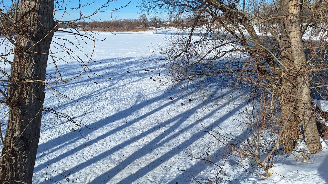 В Пензенской области вводится запрет выхода на лед