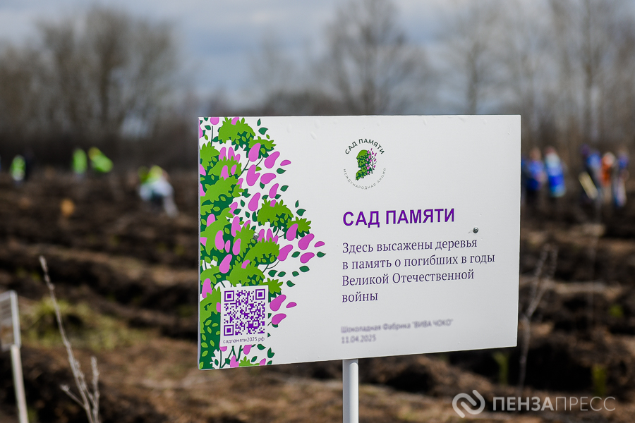 Более 1000 пензенцев стали участниками весенней акции «Сад Памяти»