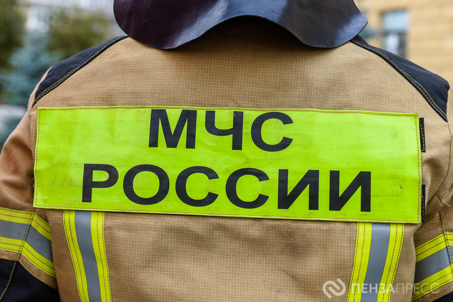 В Пензенской области сотрудники МЧС за сутки потушили восемь пожаров