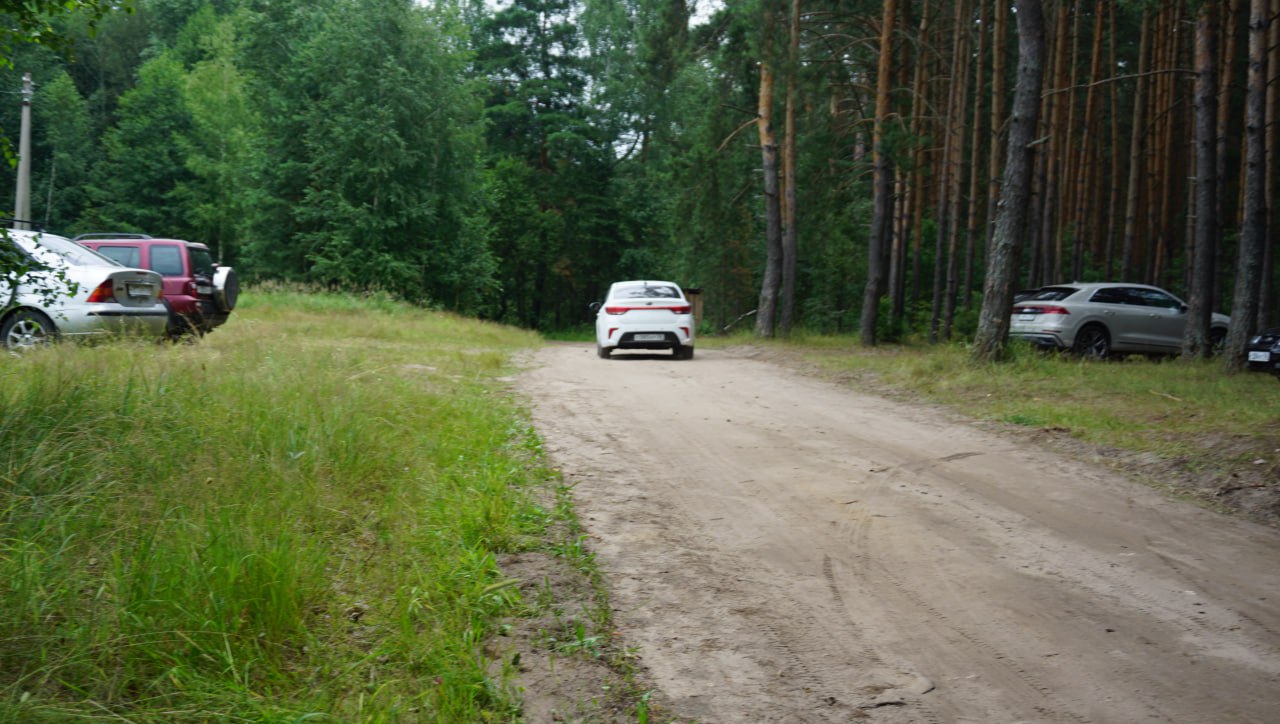 В Пензенской области с 29 августа введены ограничения на посещение лесов