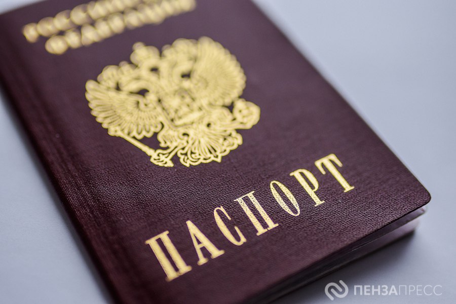 В Пензенской области двоих мигрантов лишили российского гражданства за разжигание межнациональной розни