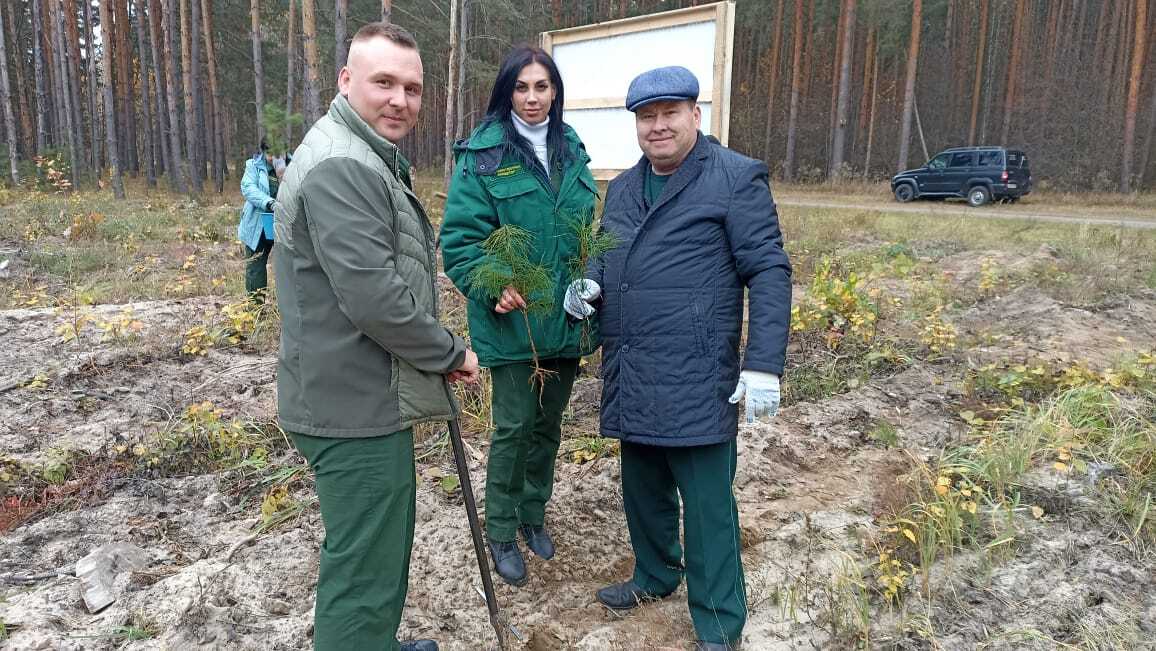 Назначен директор Ломовского лесничества