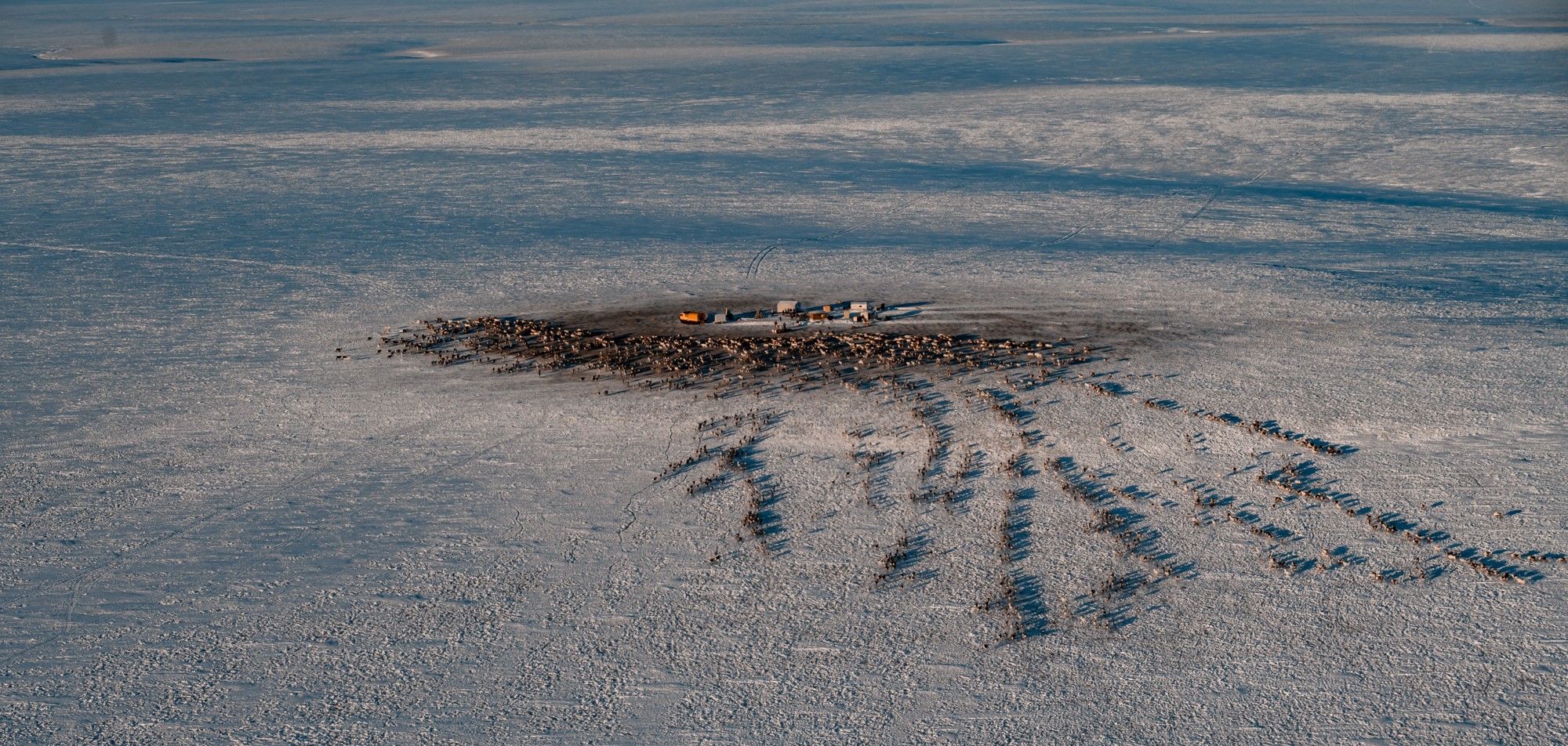 Победители журналистского конкурса от «Ростелекома» смогут отправиться в Арктику
