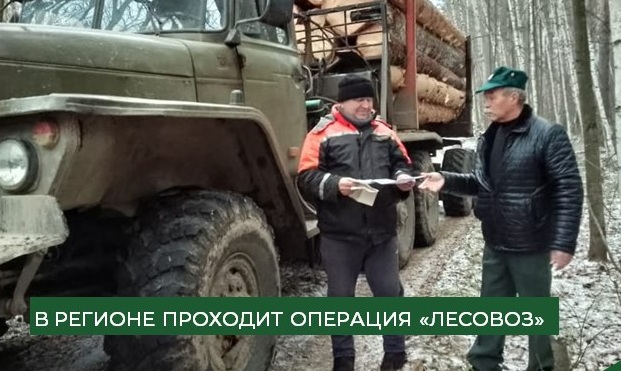 В Пензенской области началось оперативно-профилактическое мероприятие «Лесовоз»