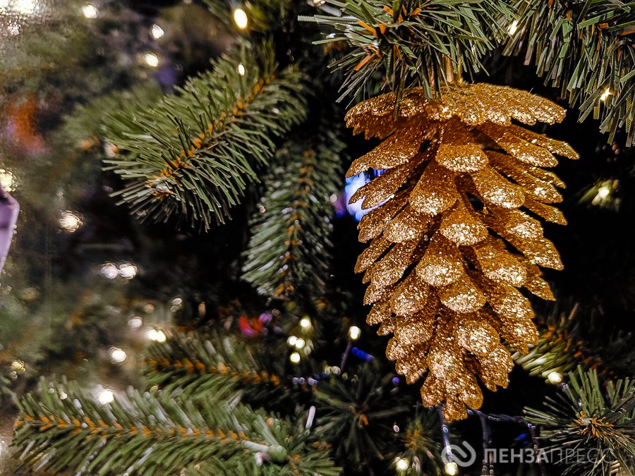 В администрации Пензы назвали планируемую стоимость новогодних елок