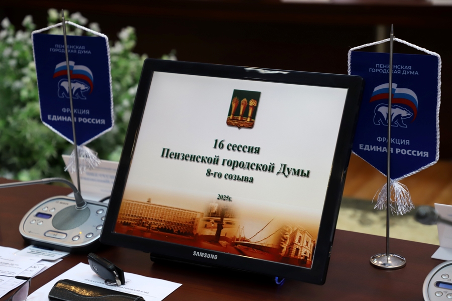 Парковка электросамокатов, льготы для семей участников спецоперации: в Пензенской гордуме прошла сессия