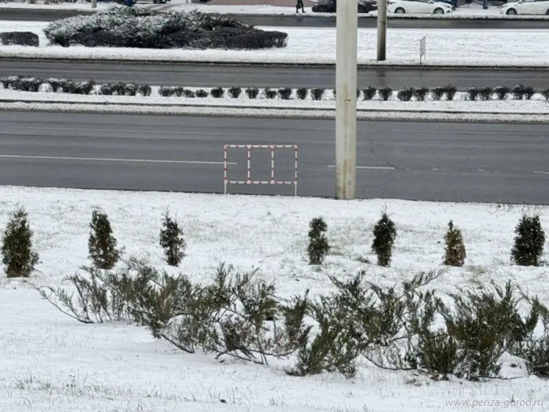 У монумента «Глобус» в Пензе пропали три туи