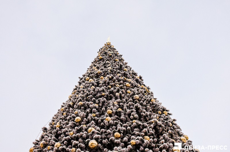 Названа новая дата старта новогодней кампании в Пензе