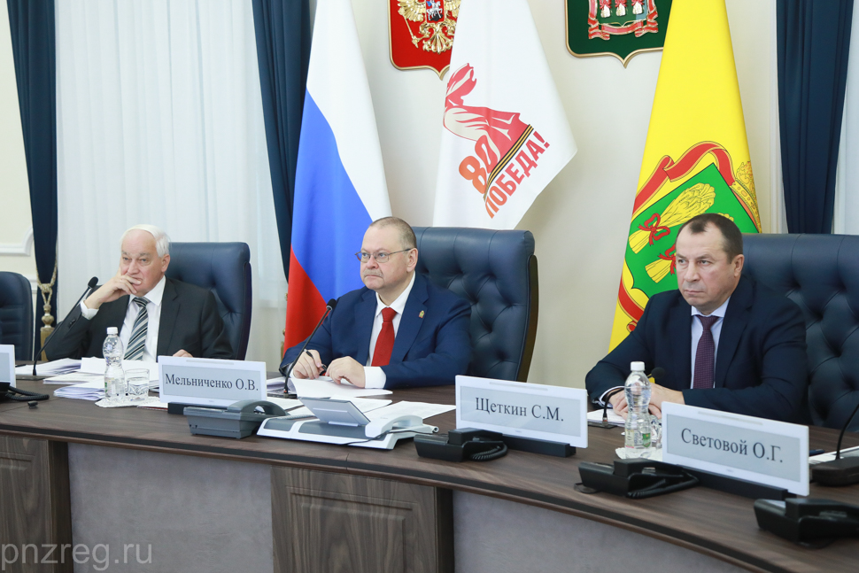 Стимулировать рождаемость начнут в районных центрах Пензенской области