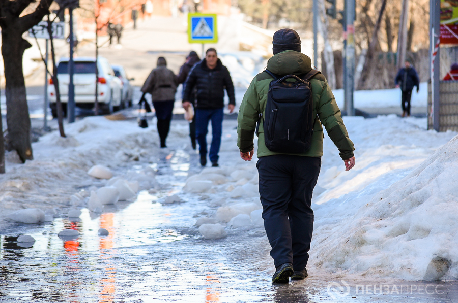 Глава города Пензы Олег Денисов поручил коммунальным службам следить за чистотой пешеходных зон
