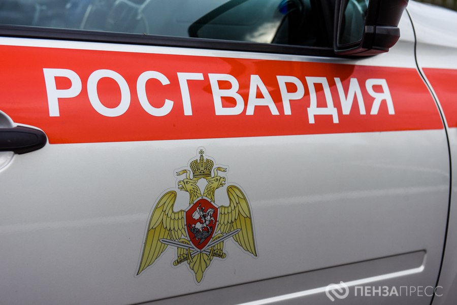 В Пензе «Поезд Деда Мороза» будут охранять сотрудники Росгвардии и полиции