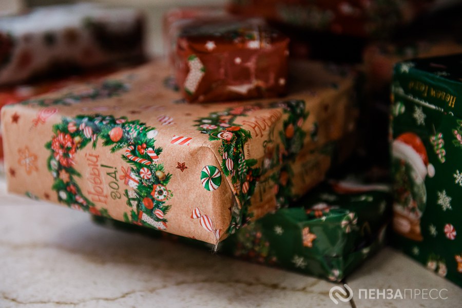 Первый зампред правительства Пензенской области поздравил семью из Токмака в рамках акции «Елка желаний»