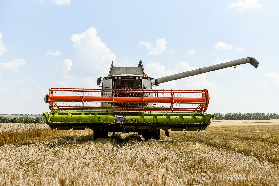 На развитие пензенского сельского хозяйства направят 2,4 млрд рублей