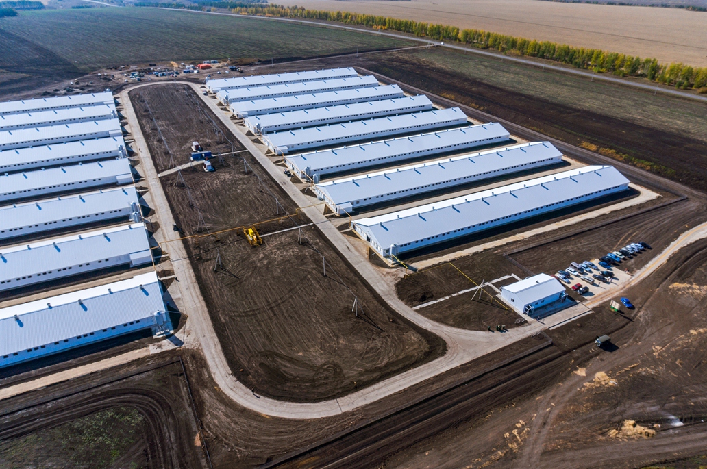 В Пензенском районе началось строительство нового птицеводческого блока