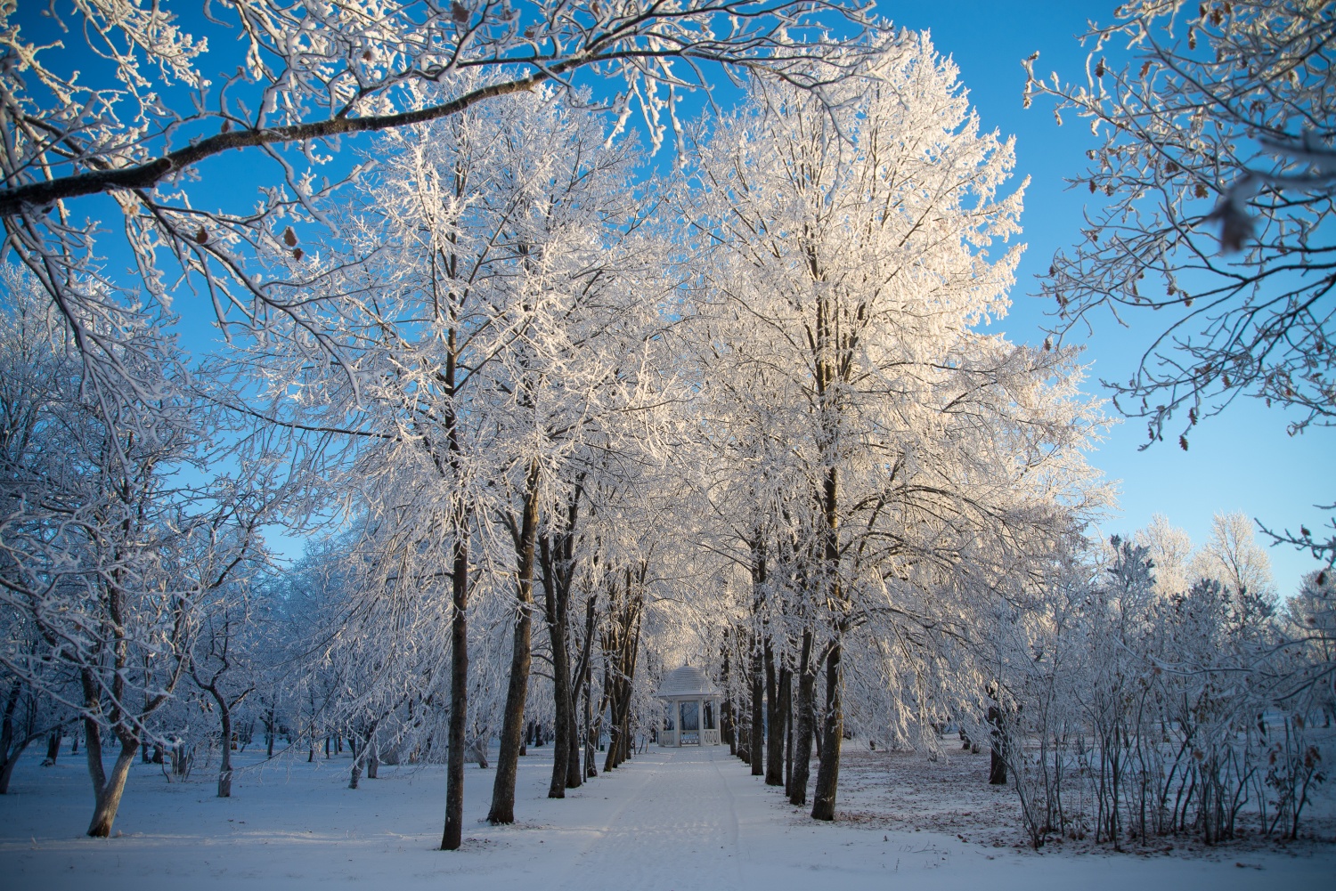 Пензенские «Тарханы» объявили благотворительную акцию по восстановлению Дальнего сада