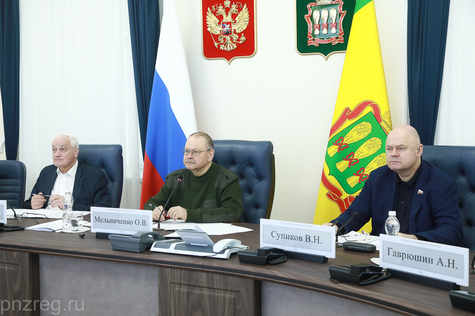 В пензенском правительстве обсудили подготовку к Всероссийскому Сабантую