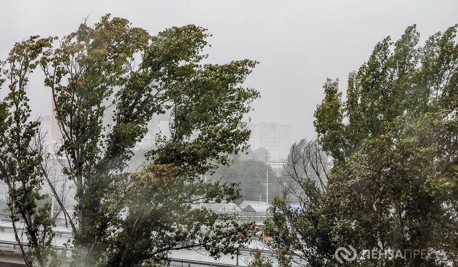 Жителей Пензенской области предупредили о сильном порывистом ветре 8 марта