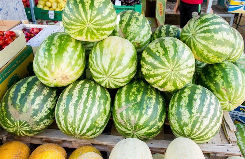 В Пензе установят более 60 палаток с овощами, фруктами и бахчевыми культурами