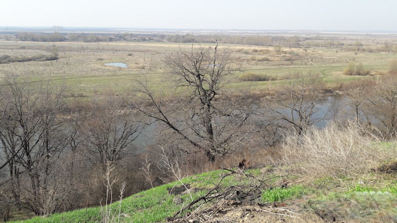 Во вторник в Пензенской области прогнозируется сильный ветер