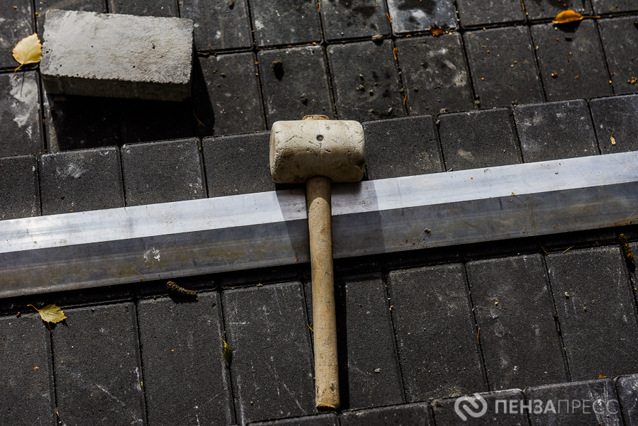 Пензенцы могут выбрать новые общественные пространства для благоустройства