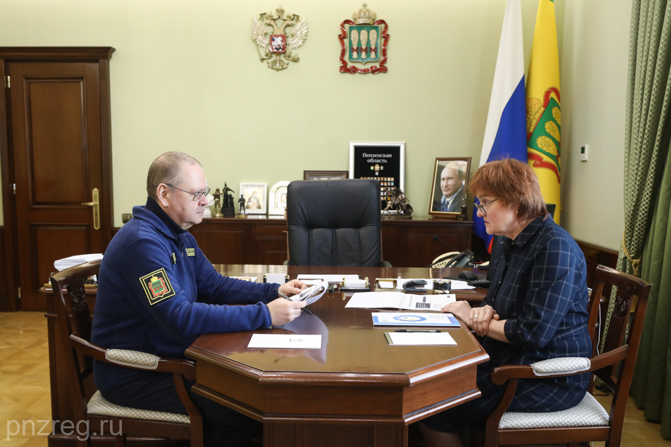 Пензенский детский омбудсмен отчиталась о работе в 2025 году