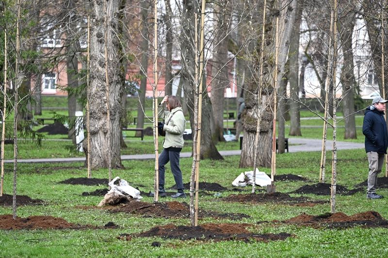 Около восьми тысяч горожан приняли участие в акции «Зеленая Пенза 2026»