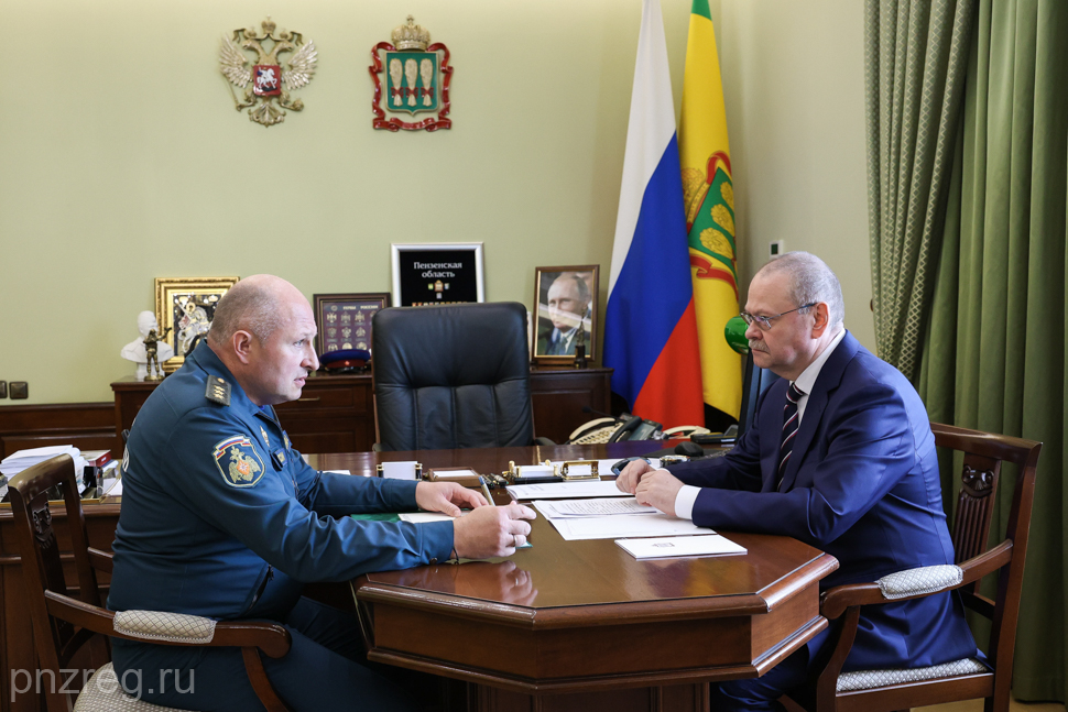 Олег Мельниченко и Александр Куренков обсудили работу спасателей в Пензенской области