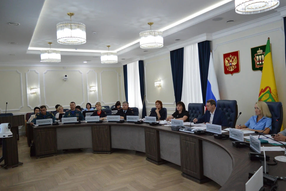 В правительстве Пензенской области обсудили профилактику детского травматизма