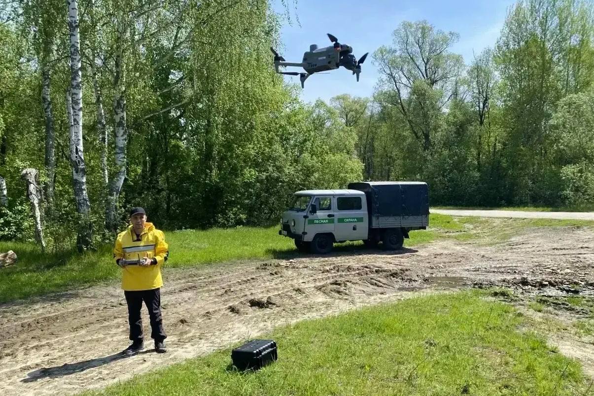 В Пензенской области с начала года не зафиксировано ни одного лесного пожара