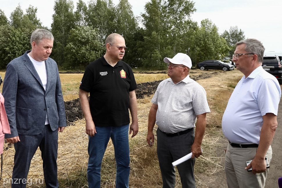 Пензенский губернатор навестил многодетную семью во время визита в Лопатино