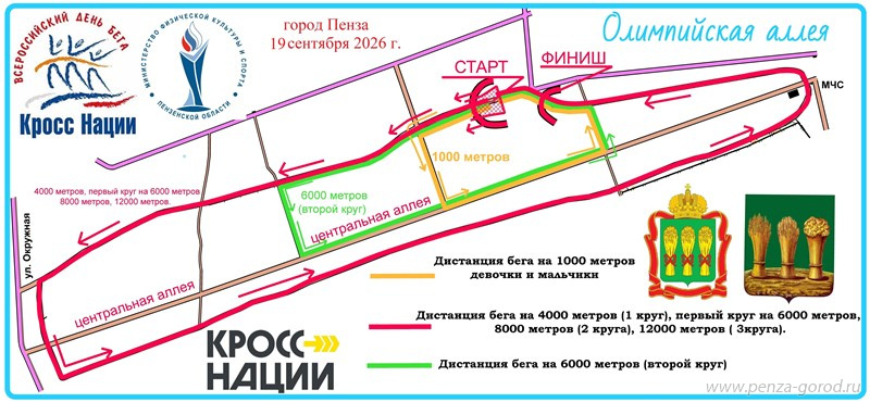 В Пензе на Олимпийской аллее пройдет Всероссийский день бега «Кросс нации»