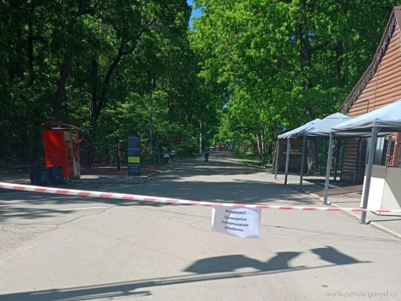 Олимпийскую аллею и Учительский сквер в Пензе обработают от клещей