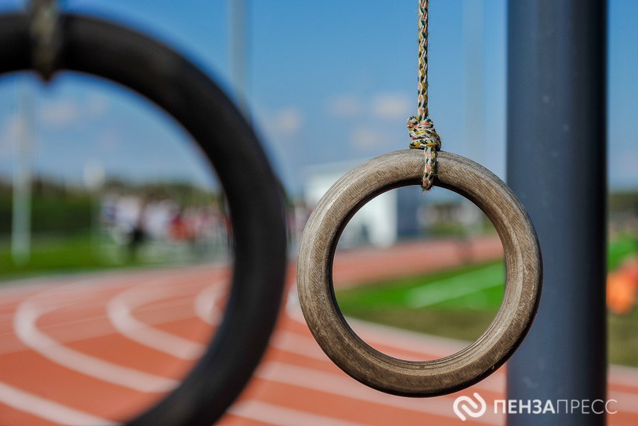 Пензенская область возглавила всероссийский рейтинг вовлеченности населения в занятия спортом
